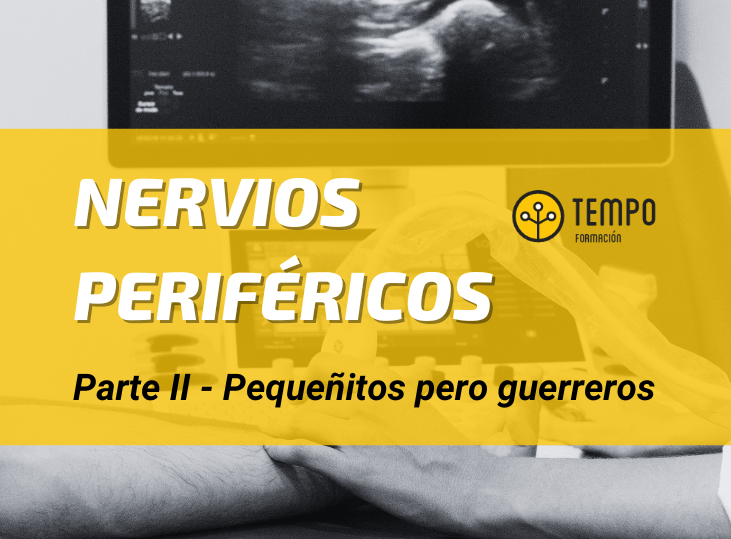 nervios-perifericos-y-ecografia-parte-ii-pequenitos-pero-guerreros